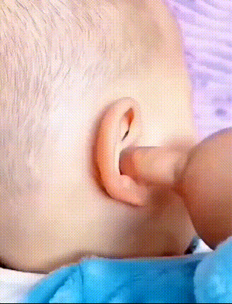 7.gif