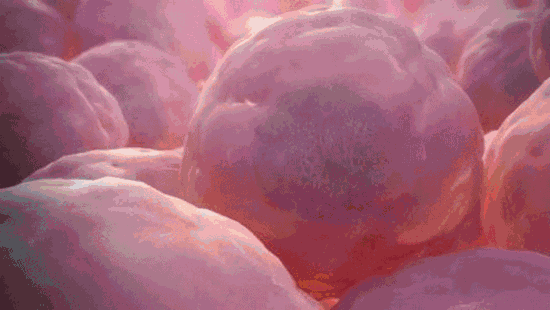 83ba0305c738005c65edf6599a9e9800.gif