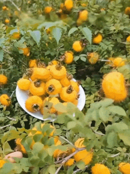 123.gif