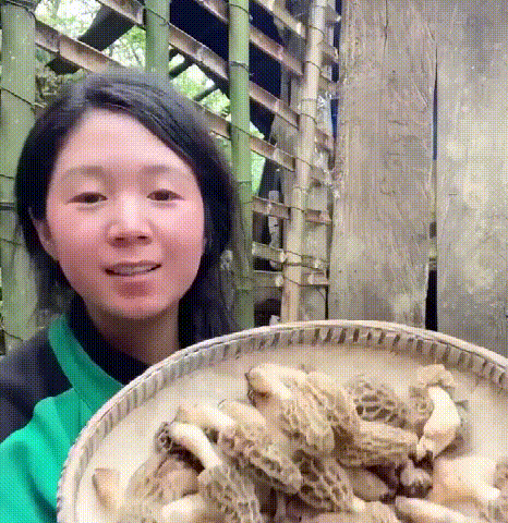 e7845d4755a845248f805437a4b27069.gif
